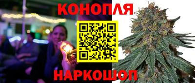 apvp Краснодар