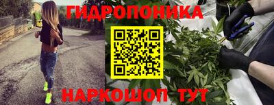 тгк Краснокаменск