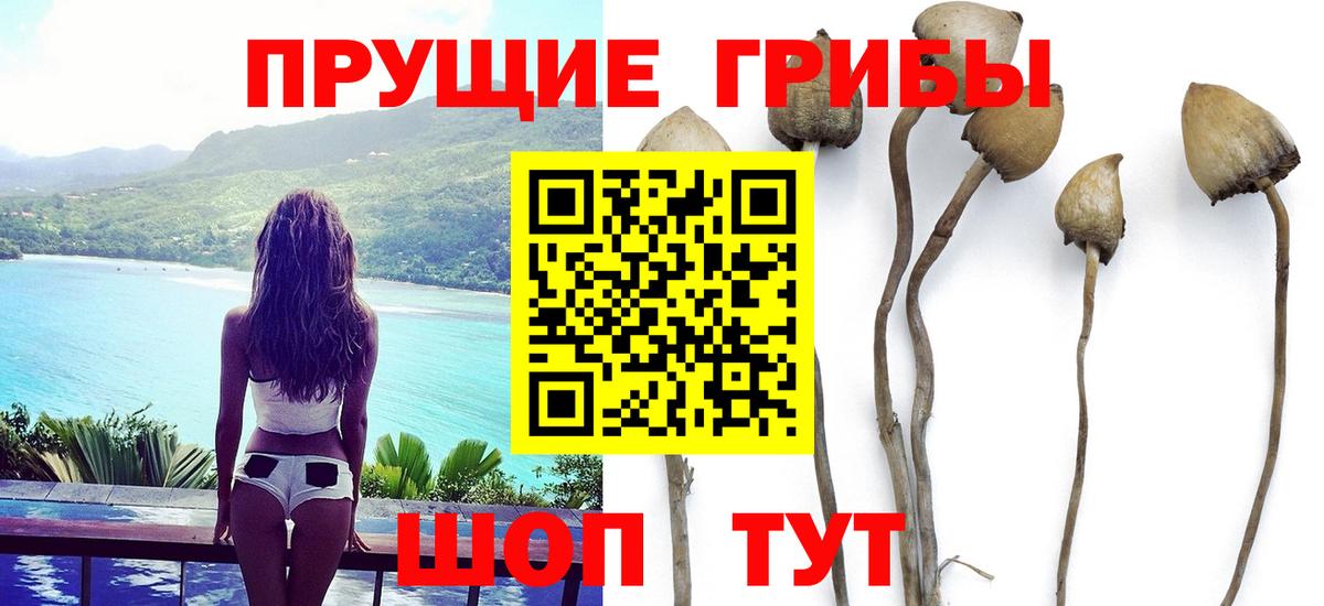 где купить наркотик  Галлюциногенные грибы мухоморы  Вход с VPN  Иваново 